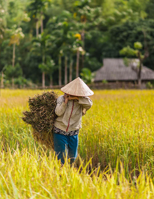 Blick über Ho-Chi-Minh-Stadt, Vietnam