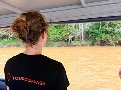Jude von TourCompass beobachtet Elefanten am Kinabatangan-Fluss