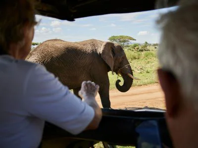 Zwei Personen beobachten einen Elefanten von einem Safari-Fahrzeug aus