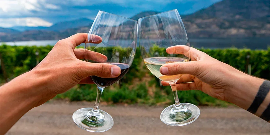 Paar stößt mit Wein im Okanagan Valley, Kanada an