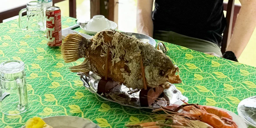 Gebratener Elefantenohrfisch auf einem Boot im Mekong-Delta