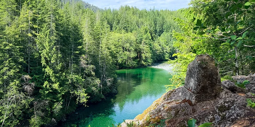 Wunderschöne Landschaft mit grünen Bäumen und einem Fluss auf Vancouver Island in Kanada