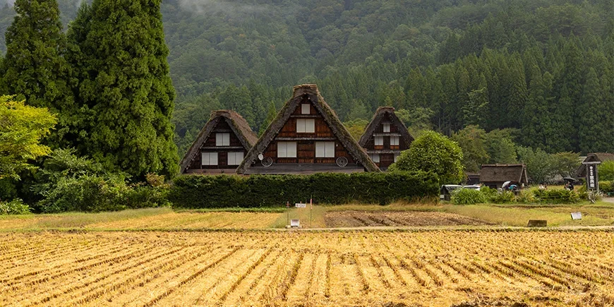 Die berühmten Gasshō-Zukuri-Häuser in Shirakawa-go in den Japanischen Alpen