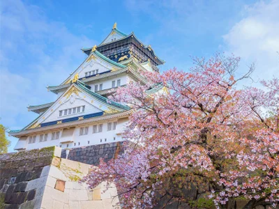 Kirschblüte an der Burg Ōsaka in Japan.