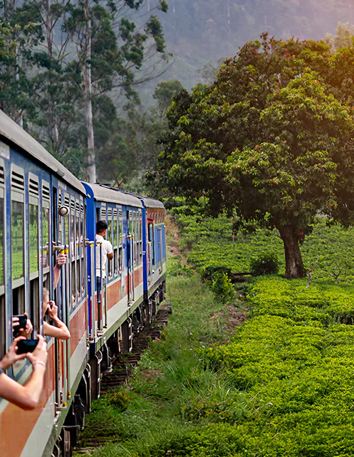 Zugfahrt von Nuwara Eliya nach Kandy durch die Teeplantagen im Hochland Sri Lankas