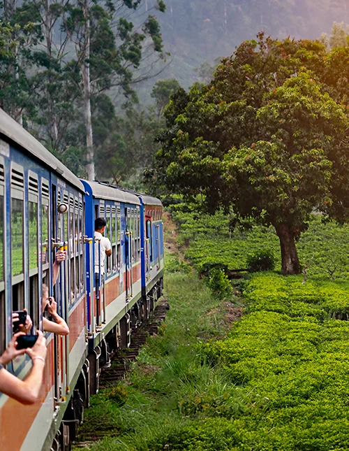 Zugfahrt von Nuwara Eliya nach Kandy durch die Teeplantagen im Hochland Sri Lankas