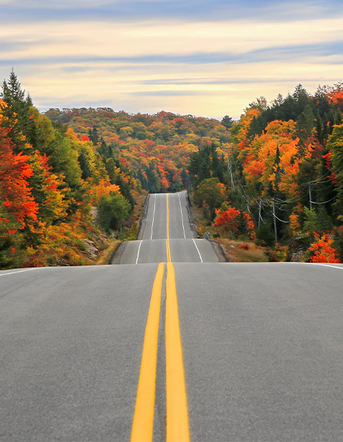 Ein Straßenabschnitt durch den Algonquin Provincial Park im Herbst, Ontario, Kanada