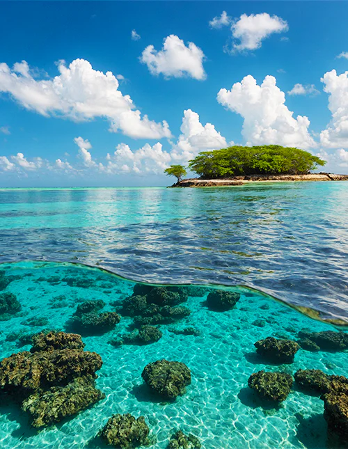 Foto des wunderschönen türkisblauen Wassers im Malindi Marine Park
