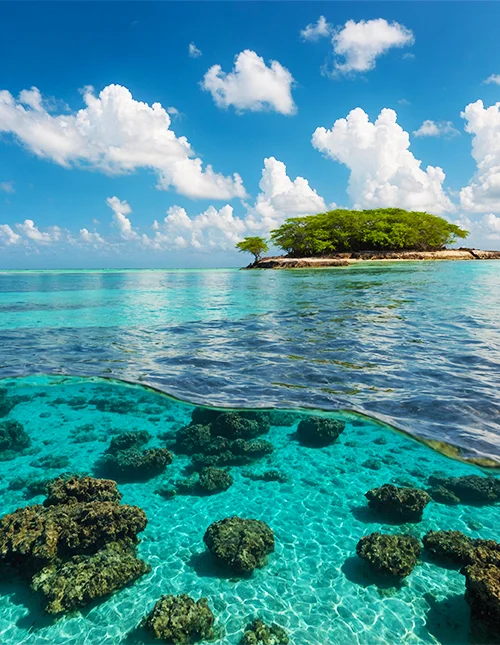 Foto des wunderschönen türkisblauen Wassers im Malindi Marine Park