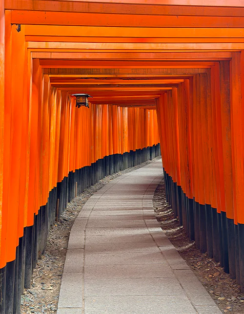Das Torii-Tor am Fushimi-Inari-Schrein in Kioto, Japan