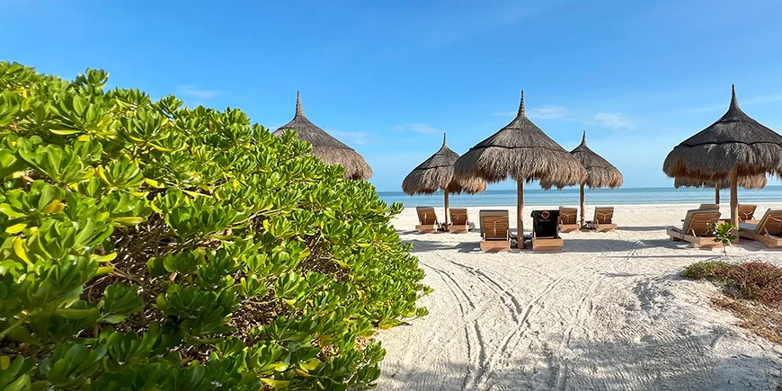 Strandkörbe mit Aussicht auf Isla Holbox