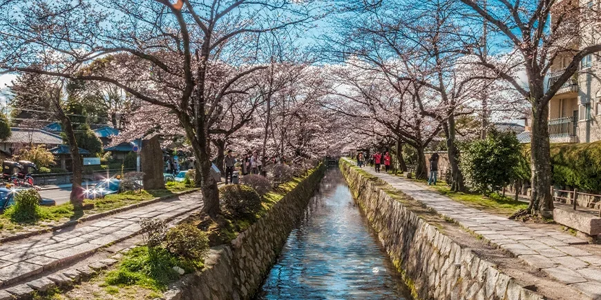 Philosophenweg in Kioto zur Zeit der Kirschblüte