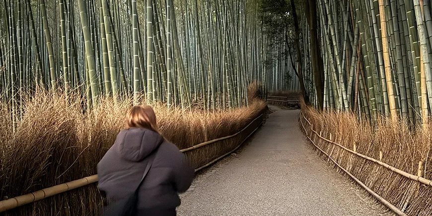 Frau im Bambuswald von Arashiyama in Kyoto