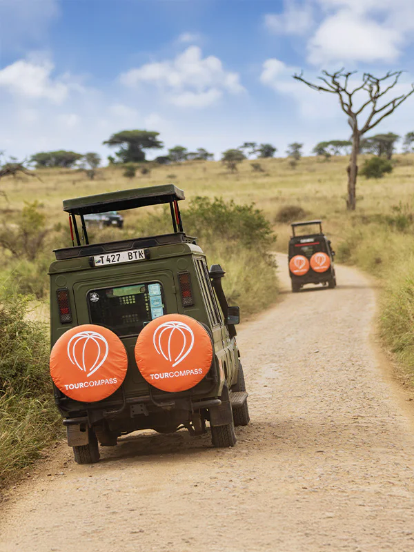 TourCompass-Jeep auf Safari in Afrika