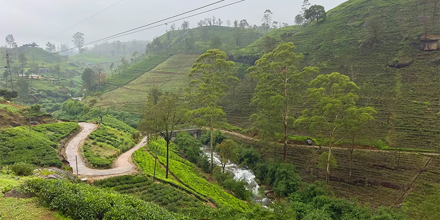 Das wunderschöne Hochland von Sri Lanka