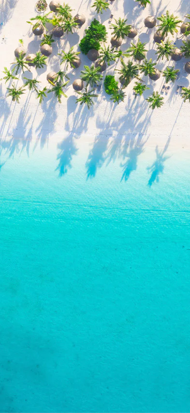 Strand auf Sansibar aus der Drohnenperspektive