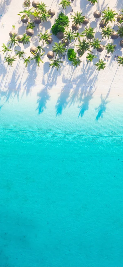 Strand auf Sansibar aus der Drohnenperspektive