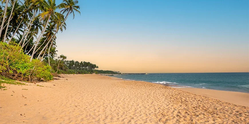 Wunderschönes Licht am Strand von Negombo