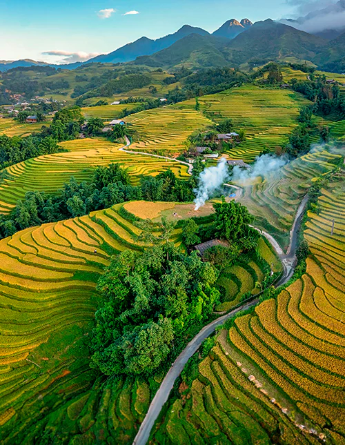 Luftaufnahme von Reisfeldern bzw. Reisterrassen, Sapa, Vietnam.