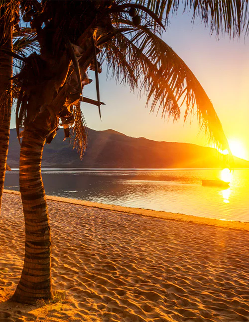 Wunderschöner, von Palmen gesäumter Strand auf Mauritius bei Sonnenuntergang