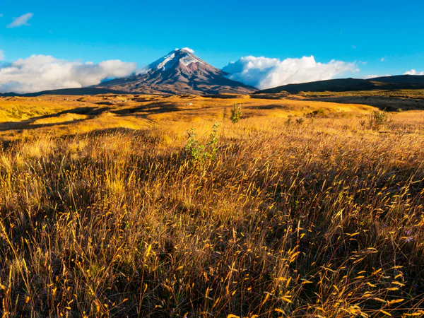 Der Vulkan Cotopaxi unter blauem Himmel