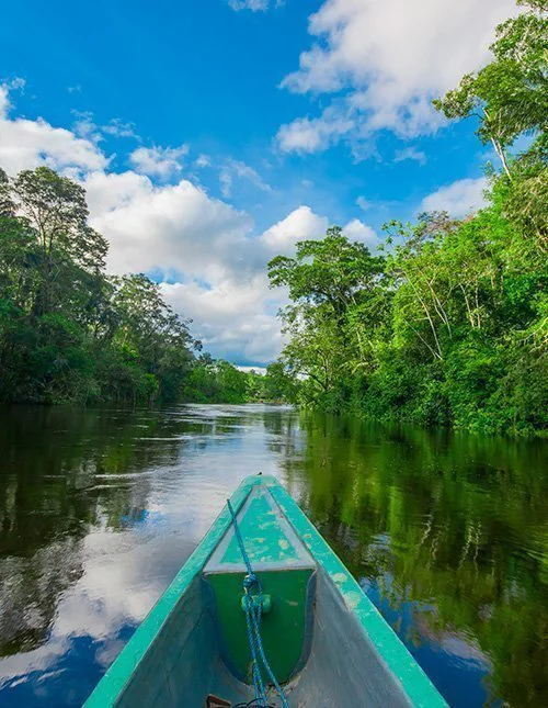 Bootsfahrt durch den Amazonas-Regenwald