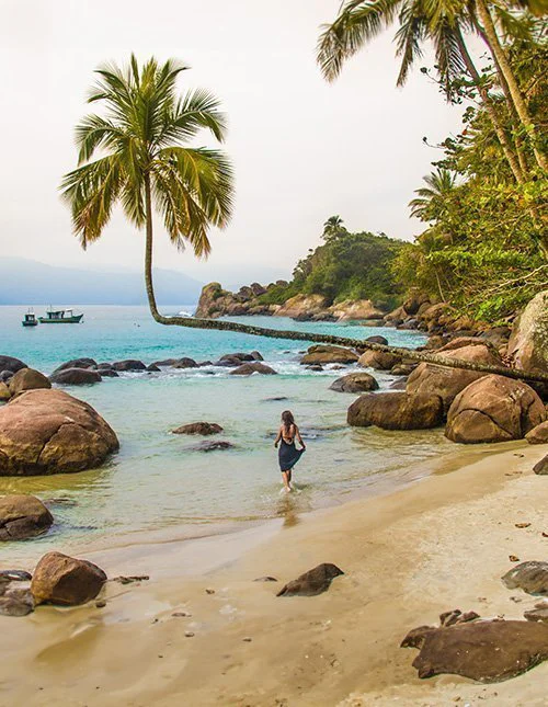 Wunderschöner Strand mit einer schräg gewachsenen Palme auf Ilha Grande