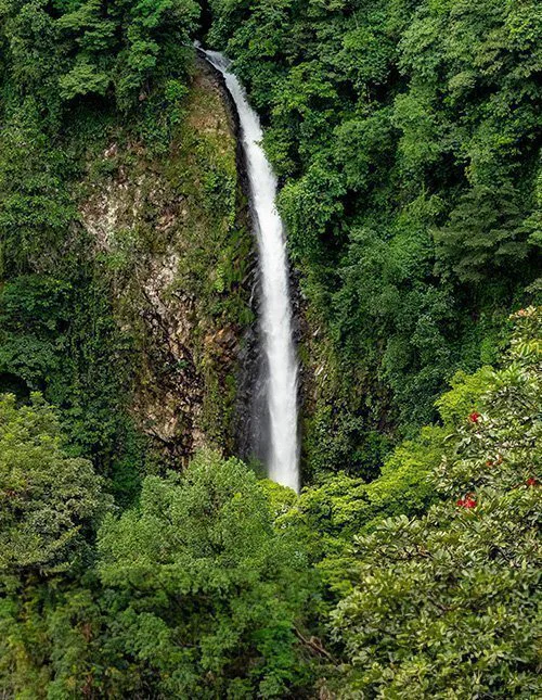 In Costa Rica stürzt ein imposanter Wasserfall durch dichten, üppigen Regenwald in die Tiefe