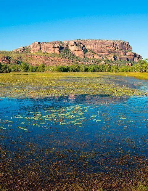 Blick auf Nourlangie vom Anbangbang Billabong, Kakadu-Nationalpark, Australien