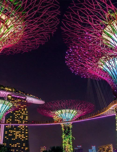 Die beleuchteten Supertrees in Singapur lassen den Nachthimmel erstrahlen.