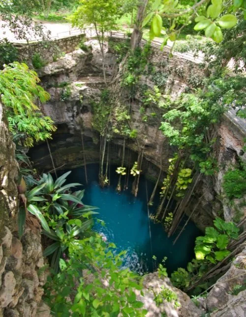 Die üppig bewachsene Cenote Oxman in Mexiko