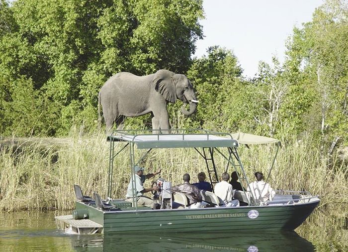 Flusssafari auf dem Sambesi-Fluss