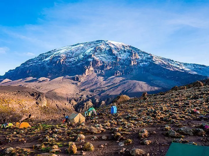 Machame-Route & Safari in 2 Nationalparks