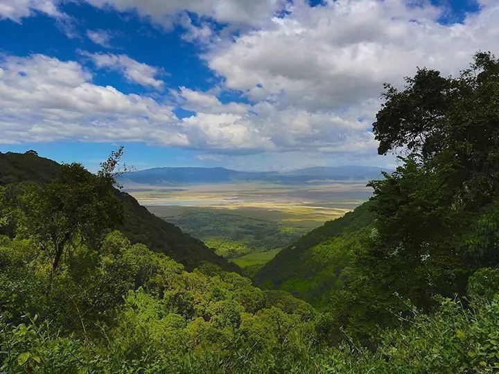 Safari in der Serengeti & Ngorongoro und Badeurlaub auf Sansibar