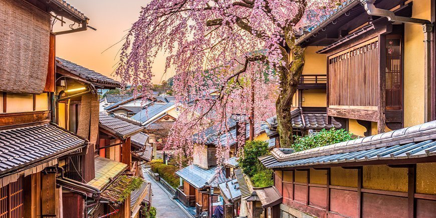 Kirschblüte im Stadtteil Higashiyama in Kyoto