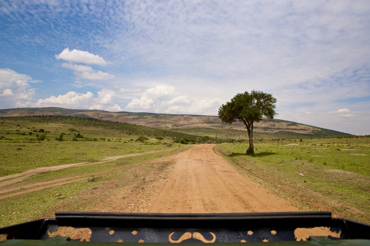 Auf Safari in Masai Mara