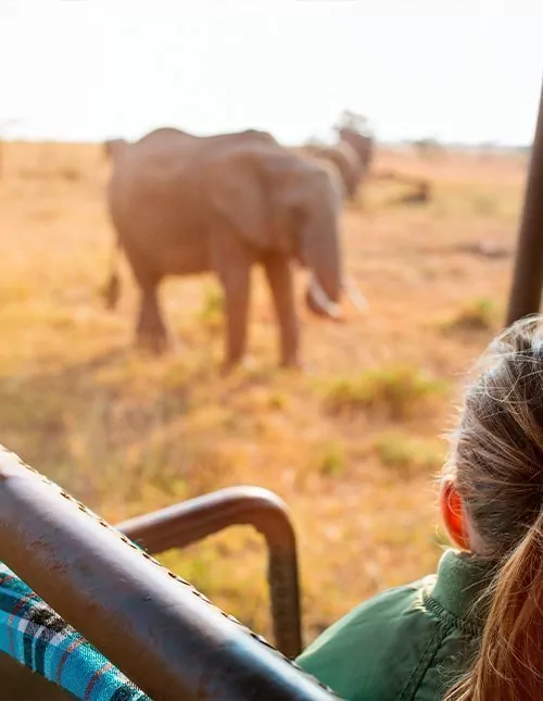 Familiensafari in Kenia