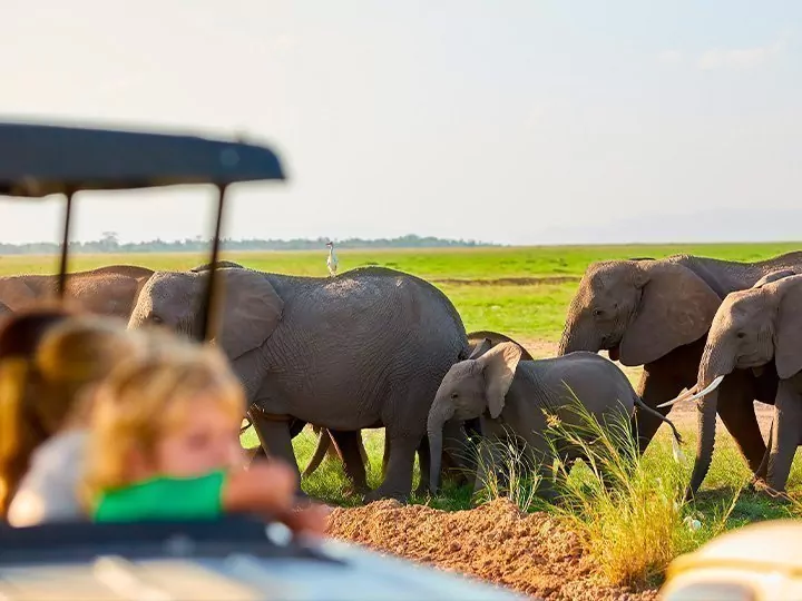 Familiensafari in Kenia