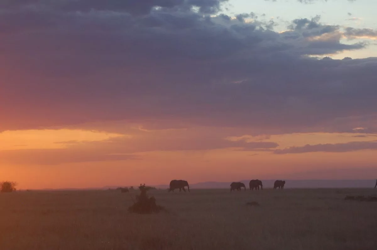 Sonnenuntergang über der Masai Mara