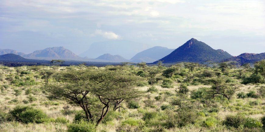 Der Samburu-Nationalpark