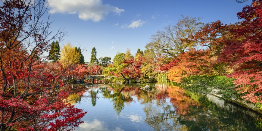 Herbst, Kioto