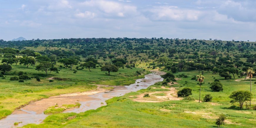 5 Natur im Tarangire