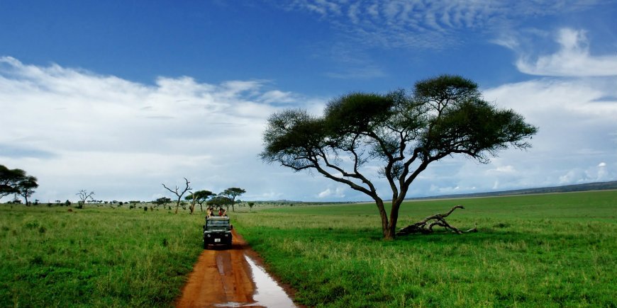 tarangire safarireise