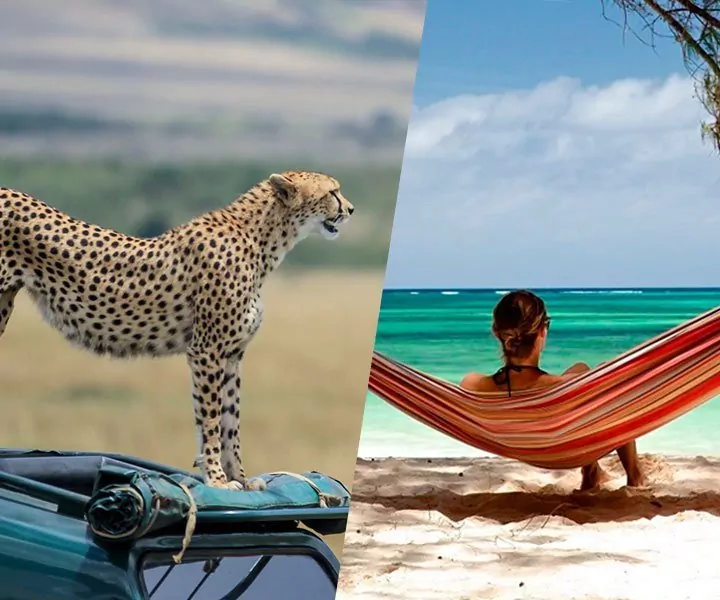 Safari und Badeurlaub