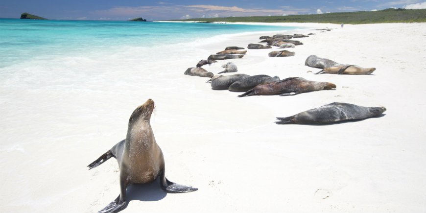 Galápagos-Inseln