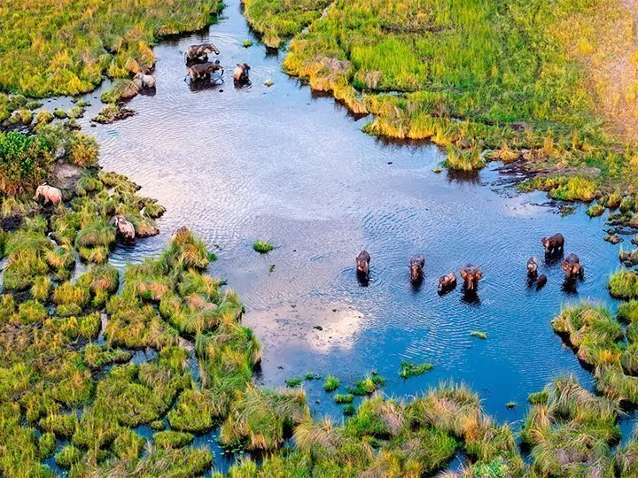 Botswana & Victoriafälle