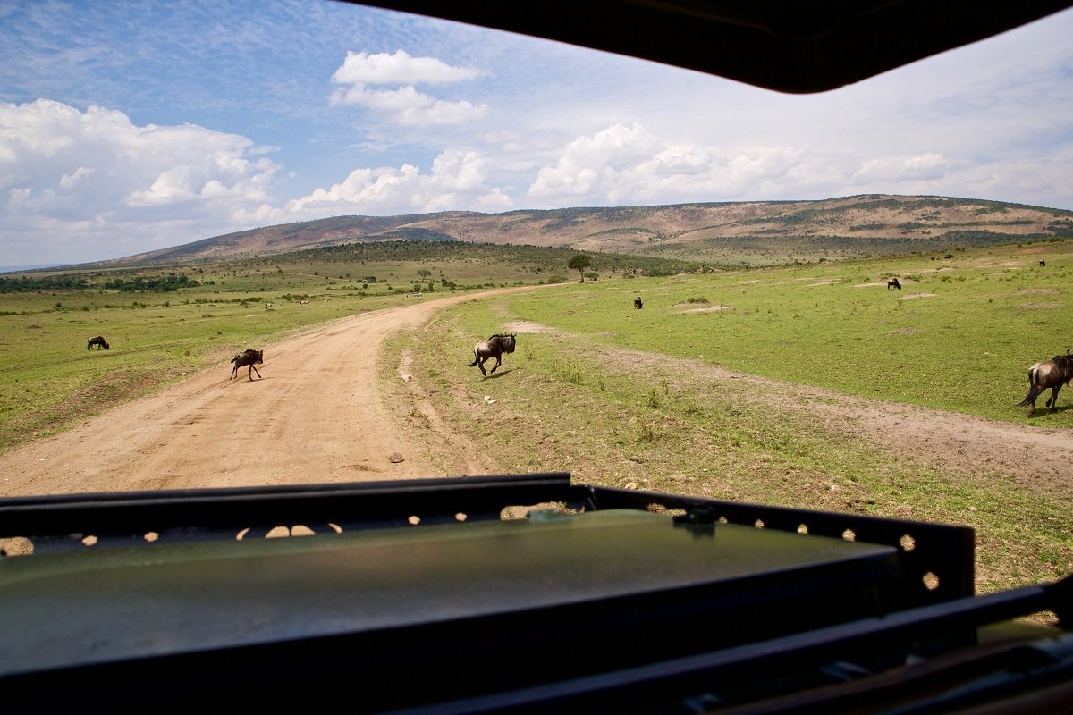 Aussicht aus dem Safariauto in der Masai Mara
