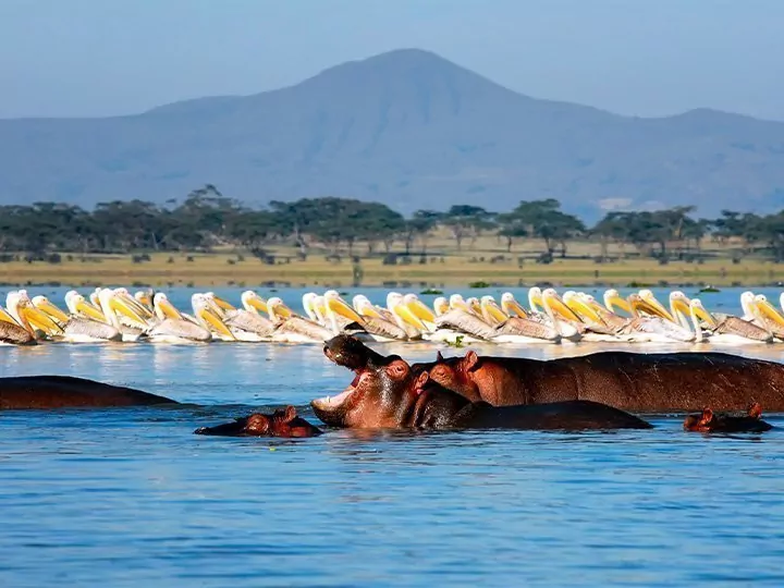 Karibu Kenia & Badeurlaub auf Sansibar