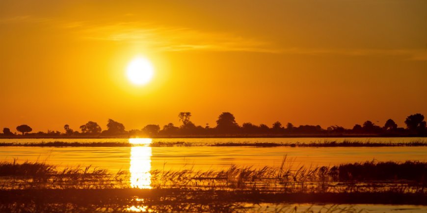 Chobe, solnedgang