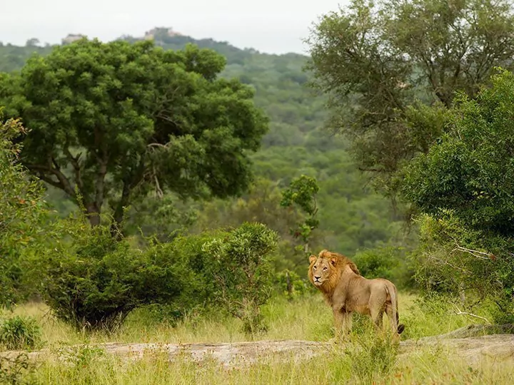 Südafrika-Rundreise – 10 Tage bis 2 Wochen